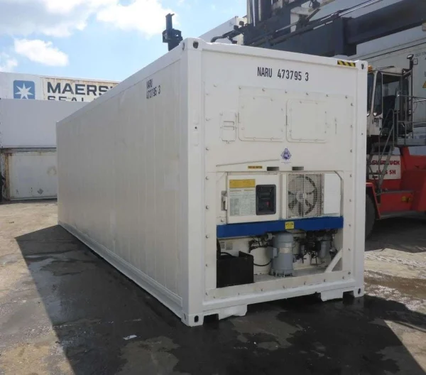 s-l1600-1-3 30 Feet Freezer Container Customized Mobile Cold Storage Cell Container / Reefer